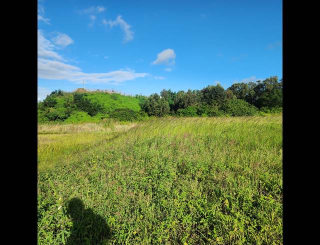 6,778M² VACANT LAND FOR SALE IN MOUNT MORELAND
